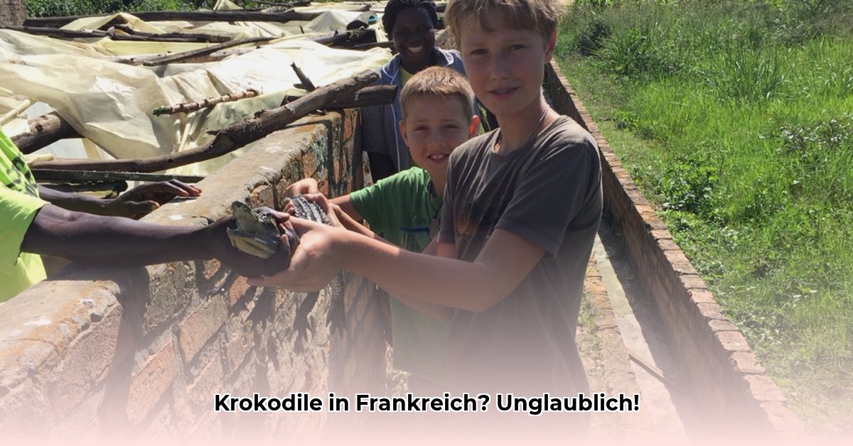 krokodillen-boerderij-frankrijk